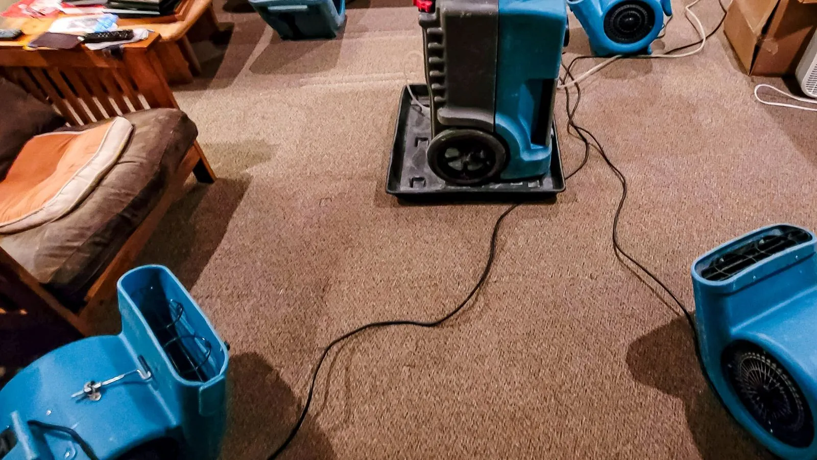 Dehumidifier and air movers set up to dry a carpeted room